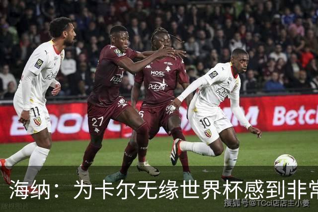 海纳：为卡尔无缘世界杯感到非常遗憾 他的未来依然无比广阔