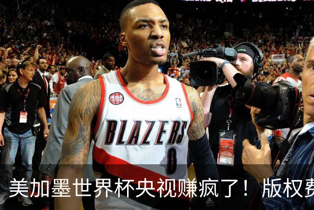 美加墨世界杯央视赚疯了！版权费仅6000万美元，收入或破80亿大关