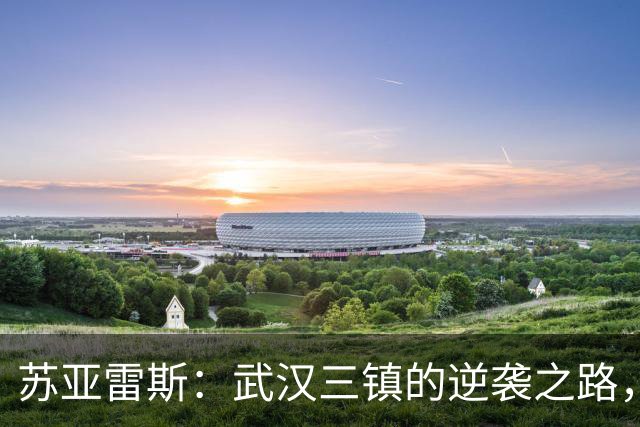 苏亚雷斯：武汉三镇的逆袭之路，休赛期如何稳固防守？