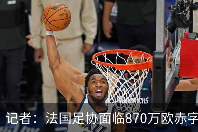记者：法国足协面临870万欧赤字，却花1200万订世界杯下榻酒店