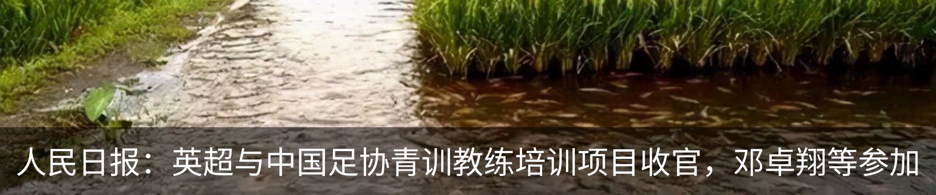 行业资讯