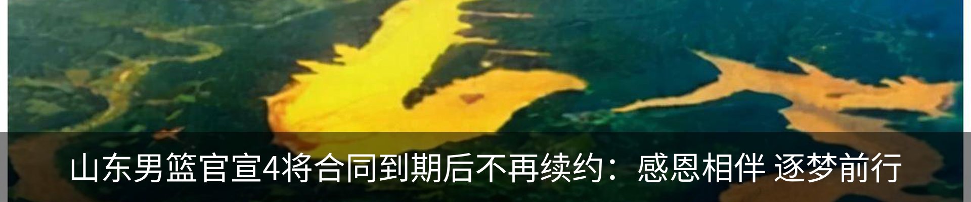 行业资讯