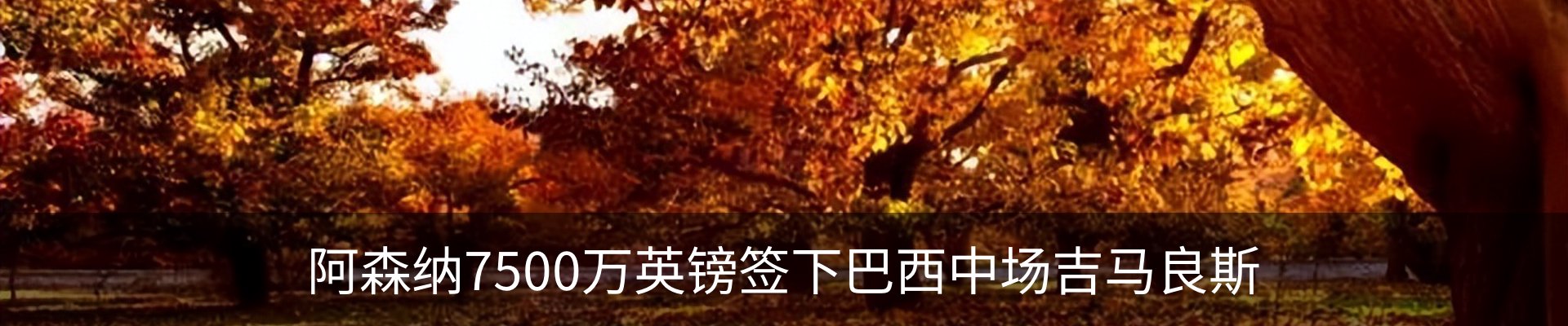 行业资讯